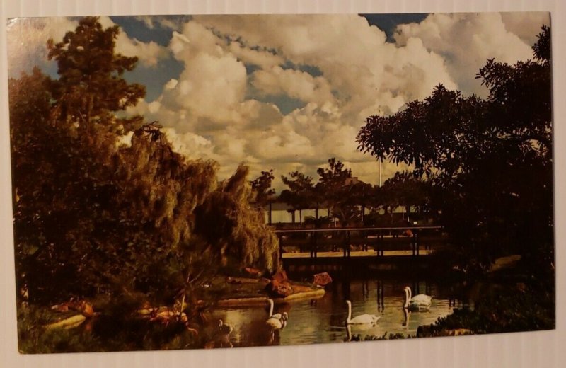 Vintage Postcard Bird Ponds Sea World San Diego California   369