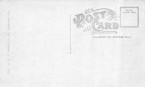 ST AUGUSTINE, Florida FL  OLD CITY GATES  Brick Columns~Cannon  c1920's Postcard 