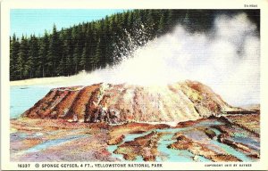 Postcard~Sponge Geyser~Yellowstone National Park~Wyoming~Linen~A96 