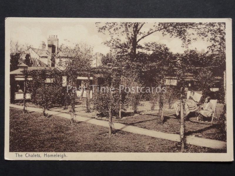 Cambridge? The Chalets HOMELEIGH seems to be Convalescence home - Old Postcard