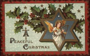 Christmas Angel Star of David Holly Embossed c1900s-10s Postcard