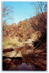 c1950's View Of Ledges State Park Boone Iowa IA Unposted Vintage Postcard