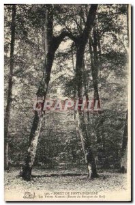 Old Postcard Foret De Fontainebleau Route Les Freres Siamese king bouquet