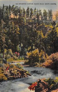 Spearfish Canyon  Black Hills SD 