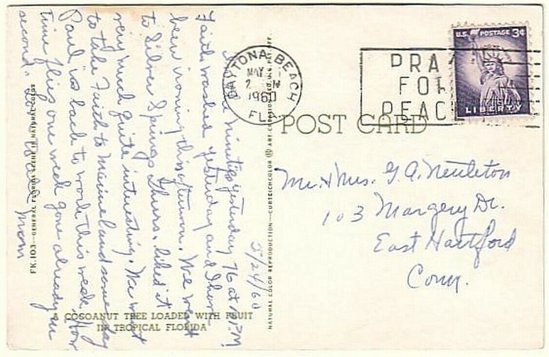 Coconut Tree Loaded With Fruit, Florida, Vintage 1960 Postcard, Slogan Cancel