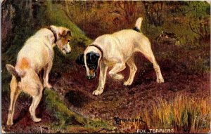 Tucks 9105 Sporting Dogs, Fox Terriers Vintage Postcard V64