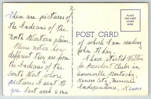 Vintage New Mexico Postcard -  Native American Indian  Pow Wow War Dance