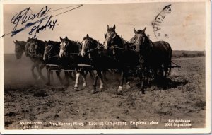 Argentina Buenos Aires Escenas Campestres En Plena Labor Horses RPPC C045