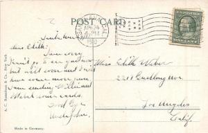 Riverside California~Riverside County Court House~1910 Postcard