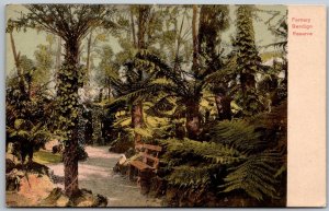 Bendigo Reserve New Zealand 1911 Postcard Fernery Trees Path Bench