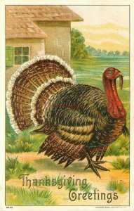 Thanksgiving, Turkey next to House, Embossed