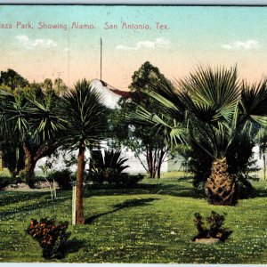 c1910s San Antonio, TX Alamo Plaza Park Spanish Daggers Postcard Geo. Bearce A72