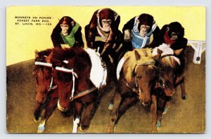 Monkeys on Ponies Race, Chimpanzee Forest Park Zoo, St. Louis MO Postcard  P8