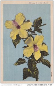 Hibiscus Hawaiian Islands Curteich