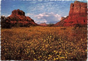 VINTAGE CONTINENTAL SIZE POSTCARD BELL AND CATHEDRAL ROCKS NEAR SEDONA ARIZONA