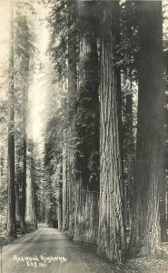Postcard RPPC California Redwood Highway Patterson 847 1930s 23-7551