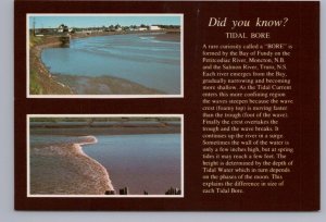 Tidal Bore, Moncton, New Brunswick, Chrome Information Postcard, Two Views