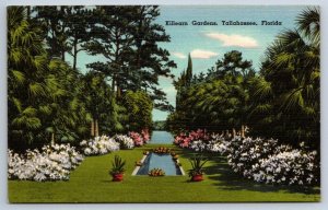 Killearn Gardens, Tallahassee, Florida, Vintage Tichnor Bros. Linen Postcard