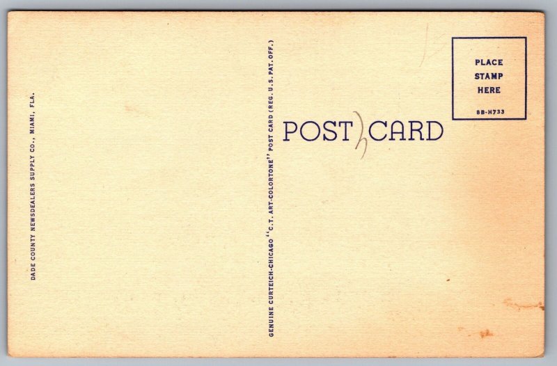 Biscayne Boulevard Everglades Miami Florida Colonial And Columbus Hotel Postcard
