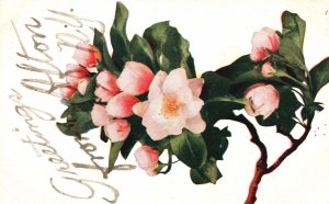 Vintage Postcard Greetings From Alton New York Large Print Flower Floral Series