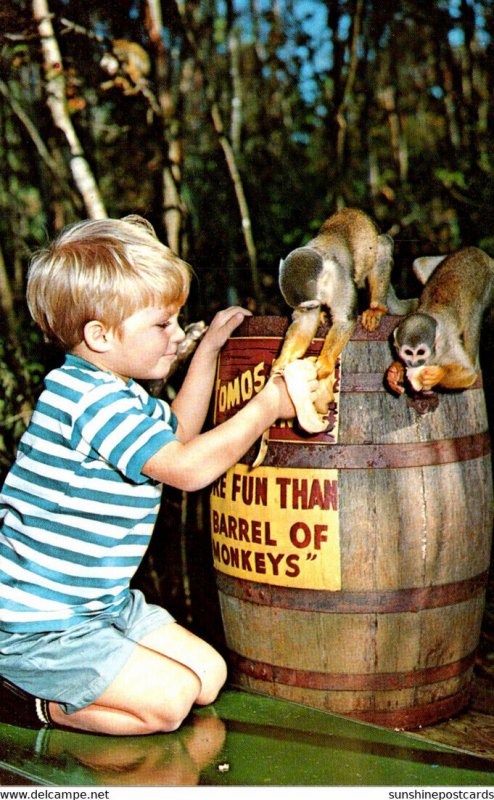 Florida Homosassa Springs More Fun Than A Barrel Of Monkeys