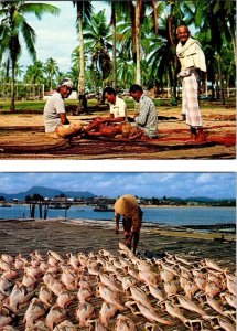 2~4X6 Postcards  Malaysia  VILLAGE FISHERMEN Mending Nets & Salted Fish Drying