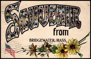 Souvenir From Bridgewater,MA Flowers BIN
