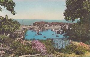 Maine Ogunquit The Harbor From Dan Sing Fan Gardens Albertype