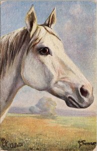 White Horse Portrait Unused L'Arabe Tuck P. Thomas Postcard F89