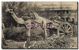 Old Postcard African Colonies The good African servant