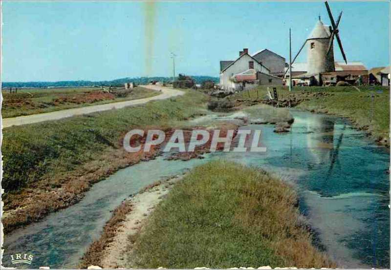 Postcard Modern picturesque Vendee 85,112 a corner of the marsh