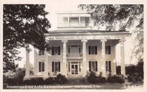 J43/ Forkland Alabama RPPC Postcard c1940s Old Ante Bellum Mansion38