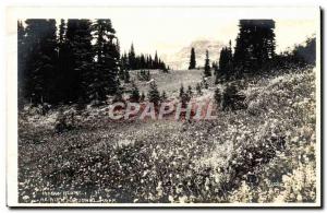 Old Postcard Henry Rainer Indian Nation Park