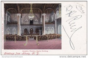 New York Albany Greetings From Albany 1902