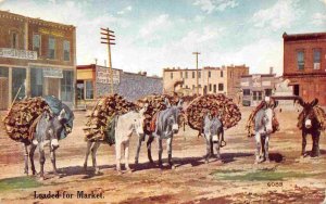 Burros Loaded With Wood for Market American West 1910c postcard