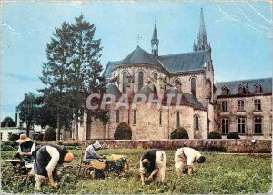 Modern Postcard Soligny la Trappe (Orne) Abbey of La Grande Trappe Gardening