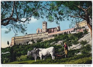 Italy Assisi Basilica di S Francewsco e Sacro Convento