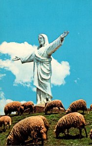 Peru Cuzco Christ Of Cuzco Statue With Grazing Sheep