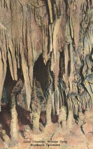 Vintage Postcard 1930's Coral Chamber Cavern Wonder Cave Monteagle Tennessee