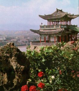 Rare Vintage Postcard Lovely Osaka Japan Pagoda w/ Roses