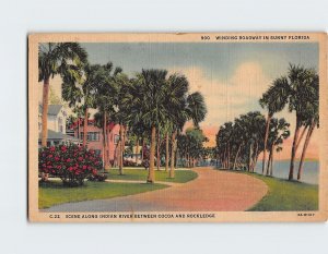 Postcard Winding Roadway In Sunny Florida, Scene Along Indian River, Florida