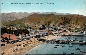 California Santa Catalina Island Avalon The Business Section Curteich