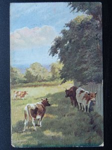 Country Life SEEKING SHADE Artist Harry Payne c1905 Postcard by Hildesheimer