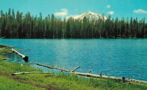 USA Lassen Peak From Summit Lake Chrome Vintage Postcard 07.55