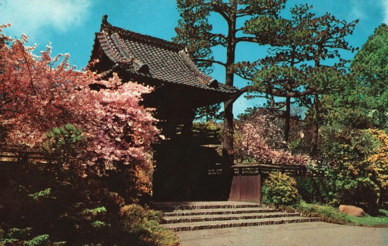 San Francisco California, Oriental Tea Garden Golden Gate Park Fulton, Postcard
