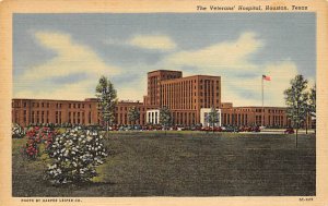 The Veterans Hospital - Houston, Texas TX  