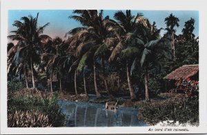 Vietnam Au Bord Palm Trees And Hut Vintage RPPC C109