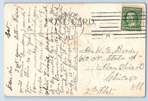 Christmas Postcard Cat Kitten Mistletoe Embossed Springfield Illinois IL c1910's