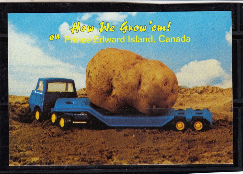 P1766 vintage prince edward island canada we grow em big potatoes postcard