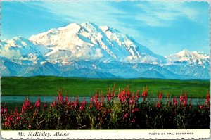 Mt. McKinley Alaska Postcard PC69